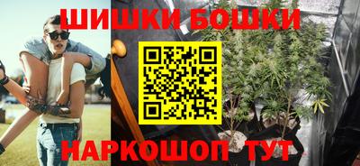 шишки Краснознаменск