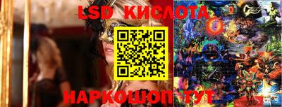 шишки Краснознаменск