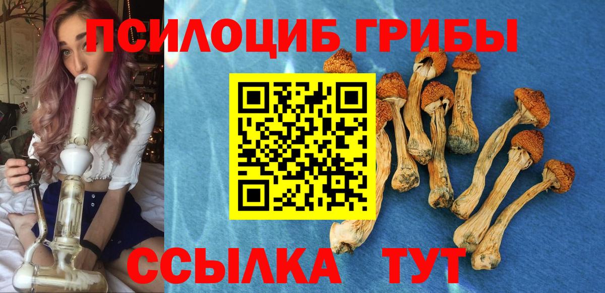 Псилоцибиновые грибы GOLDEN TEACHER Коммунар